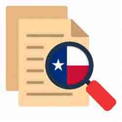 Texas review icon